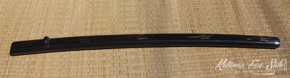 SN6