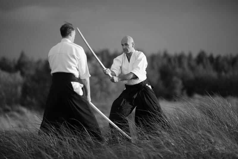 Naginatajutsu and Atarashii Naginata