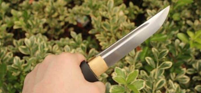 The Beauty Of Tanto